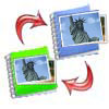 Digital Photo Albums